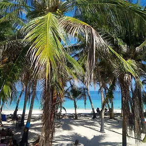 Zippy's Sea View , San Andres (San Andres and Providencia Islands) Colombia